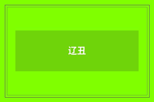辽丑