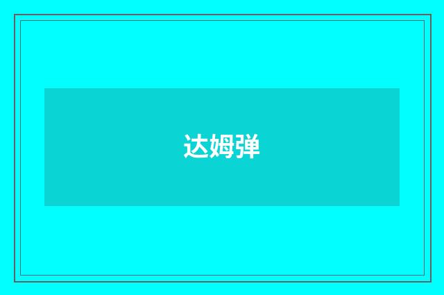 达姆弹