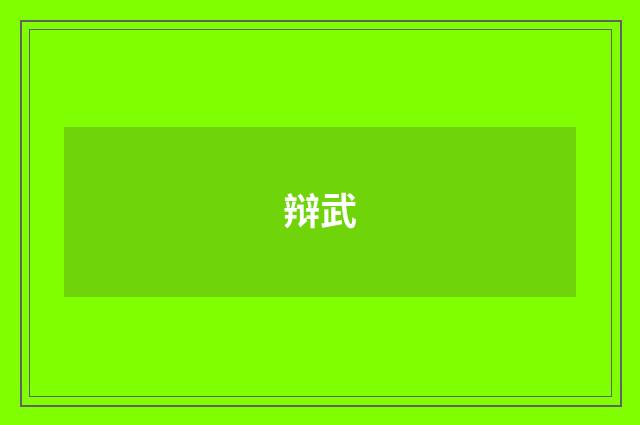辩武