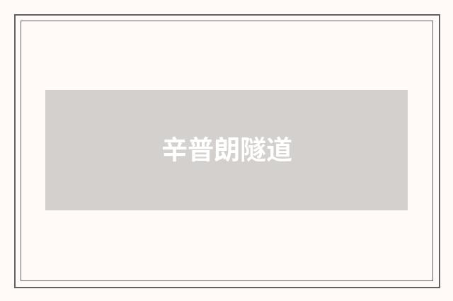 辛普朗隧道
