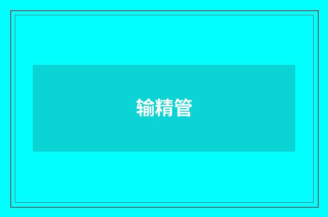 输精管