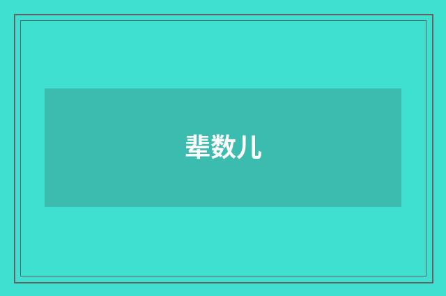 辈数儿