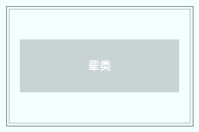 辈类