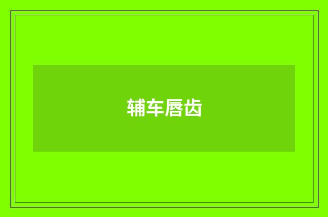 辅车唇齿