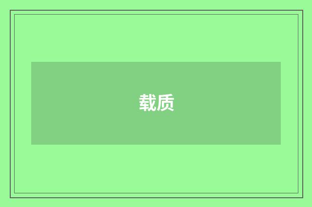 载质