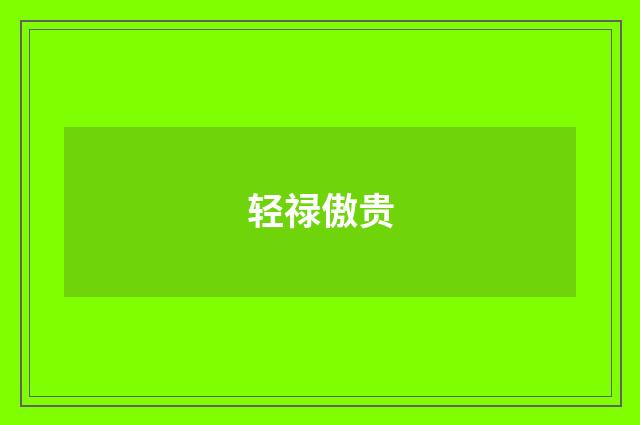 轻禄傲贵