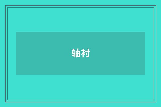 轴衬