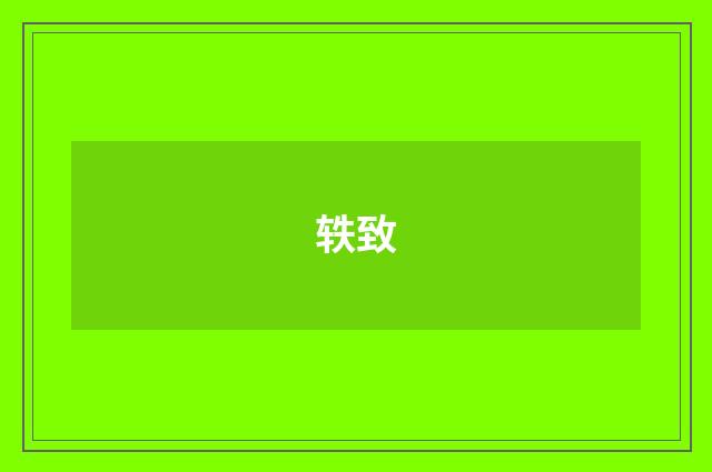 轶致