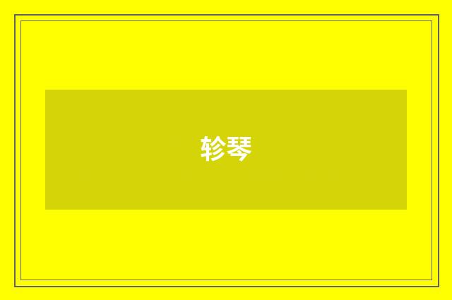 轸琴