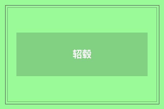 轺毂