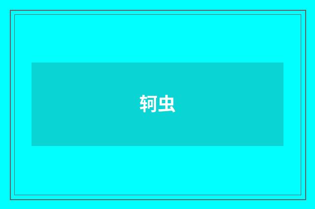 轲虫