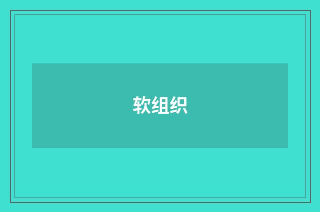 软组织