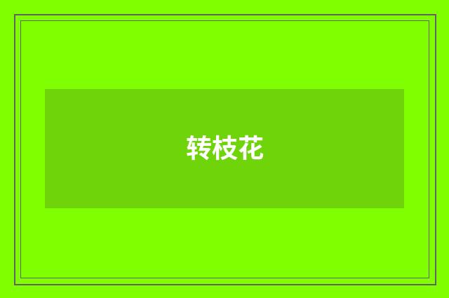 转枝花