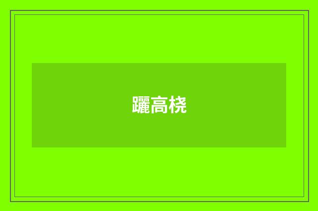 躧高桡