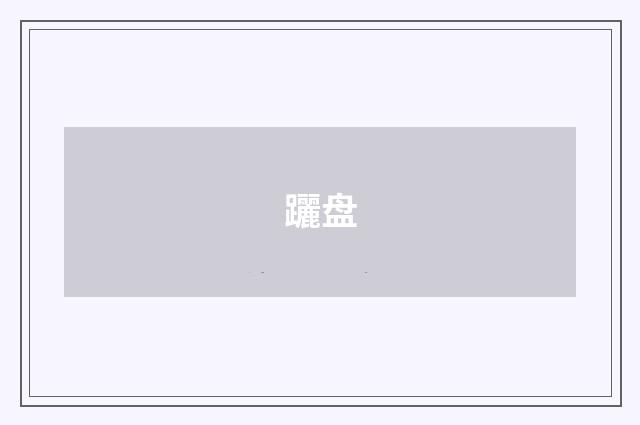 躧盘