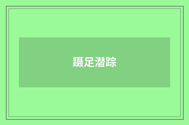 蹑足潜踪