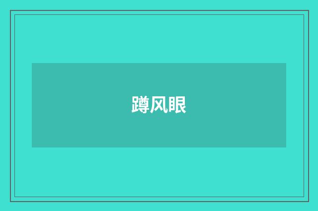 蹲风眼