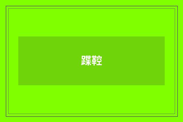 蹀鞚