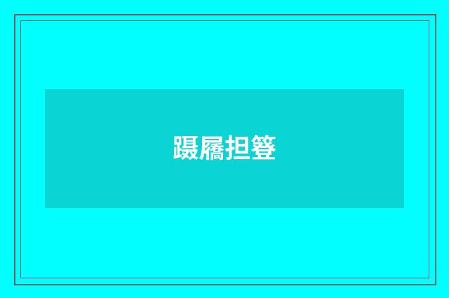 蹑屩担簦