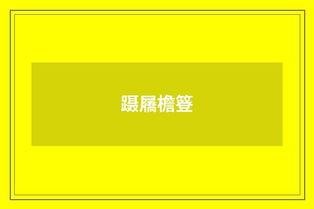 蹑屩檐簦