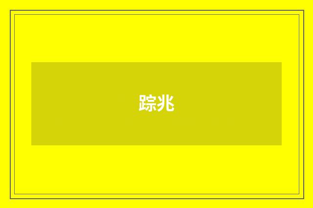 踪兆