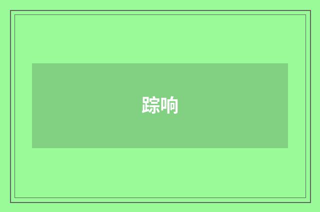 踪响