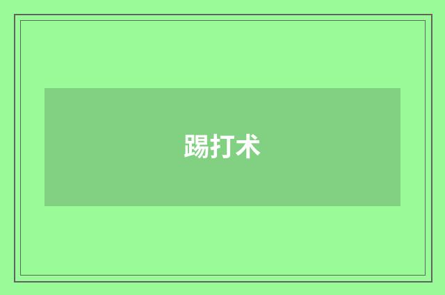踢打术