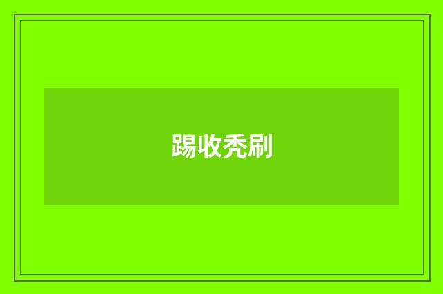 踢收秃刷