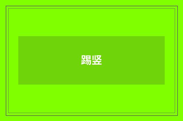 踢竖