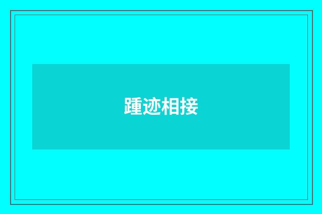 踵迹相接