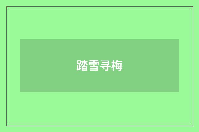 踏雪寻梅