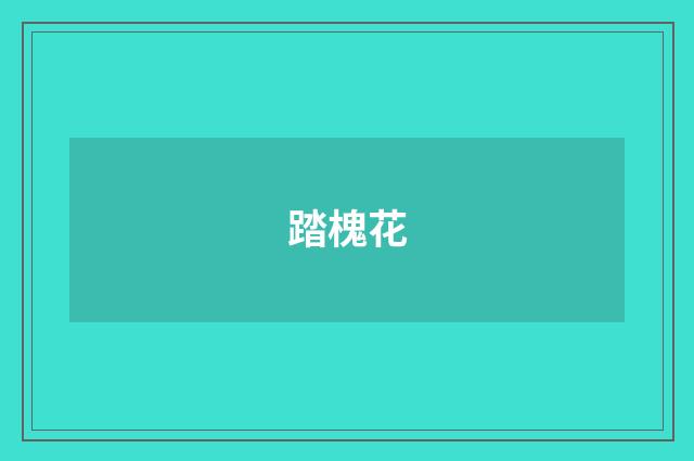 踏槐花