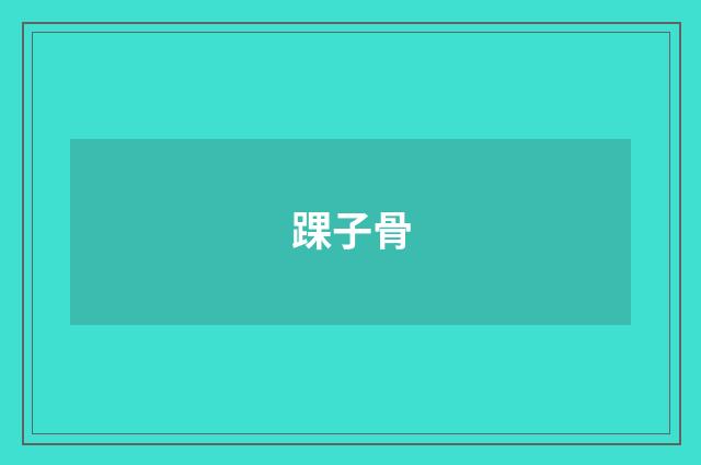 踝子骨