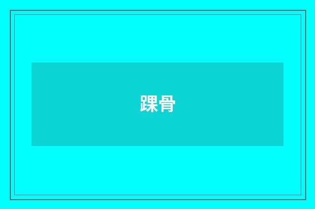 踝骨