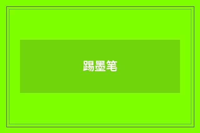 踢墨笔