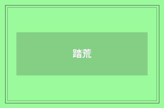踏荒