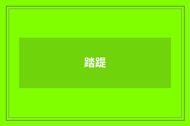 踏踶
