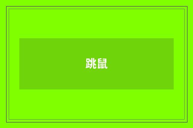 跳鼠