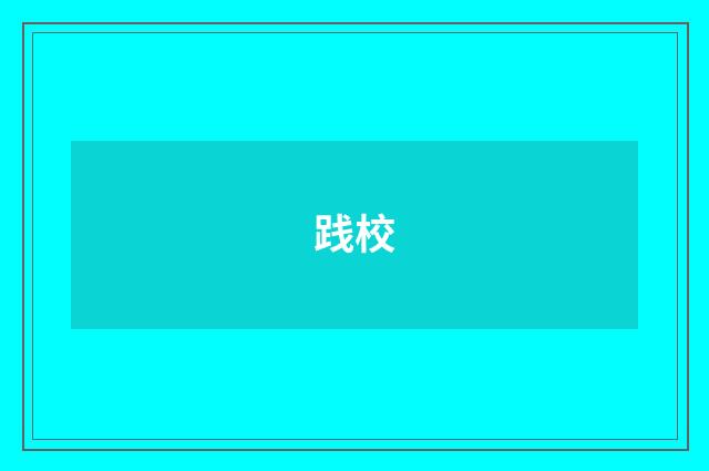 践校