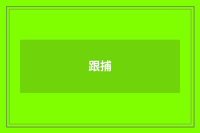 跟捕