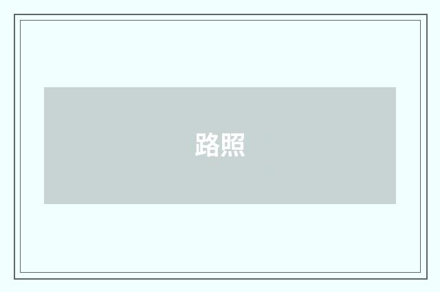 路照