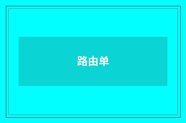路由单