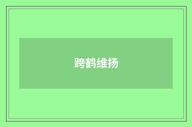 跨鹤维扬