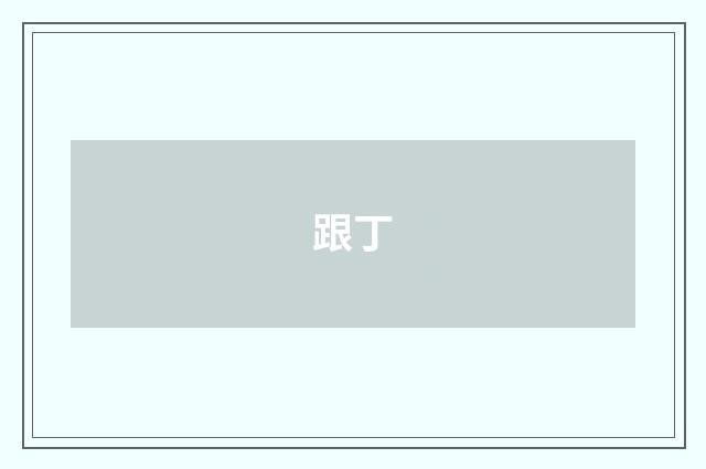 跟丁