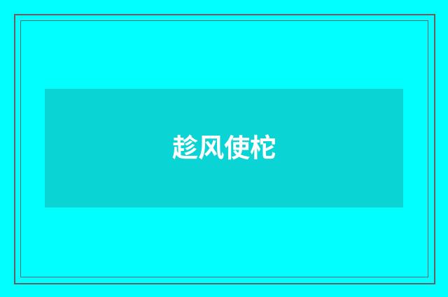 趁风使柁