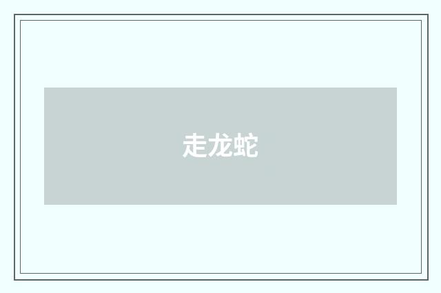 走龙蛇