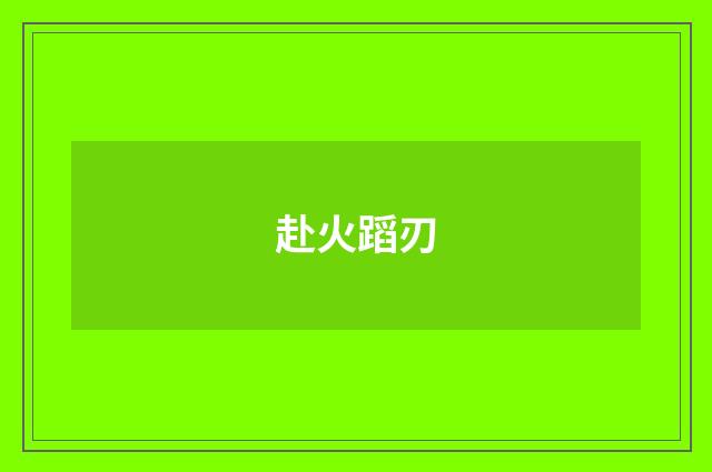 赴火蹈刃