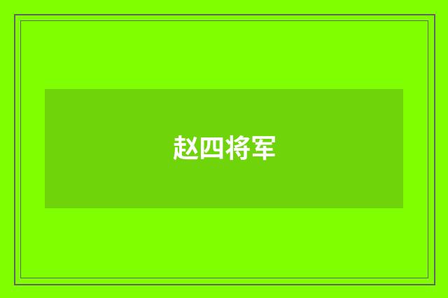 赵四将军