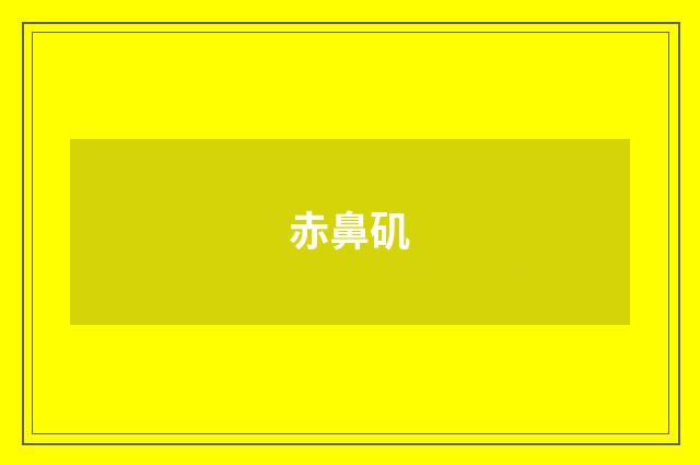 赤鼻矶