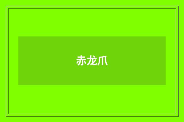 赤龙爪
